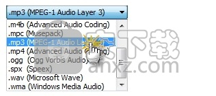 Audio Transcoder(多功能音频转码与格式转换器)