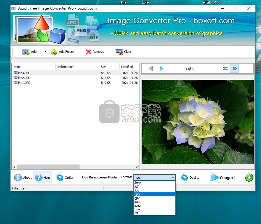 Boxoft Free Image Converter(免费图片转换器)