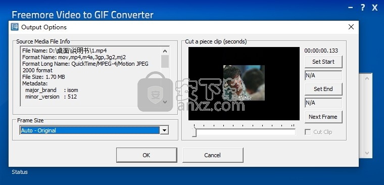Freemore Video to GIF Converter(视频转gif软件)