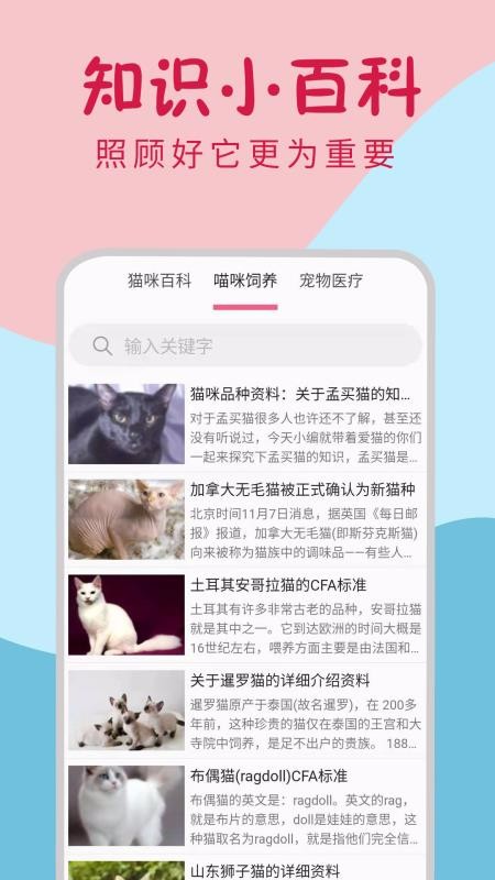 小猫翻译器襄阳app开发平台