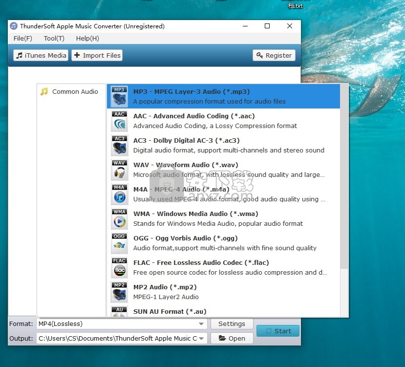 ThunderSoft Apple Music Converter(苹果音乐转换器)