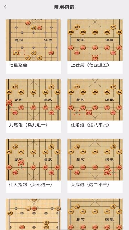 大师象棋(3)