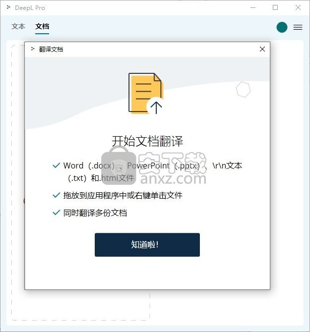 DeepL pro(翻译软件)