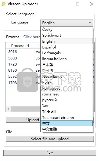 Virscan Uploader(多引擎在线扫描软件)