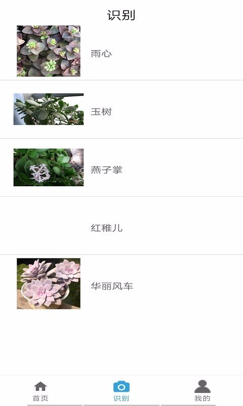 植物图鉴(2)