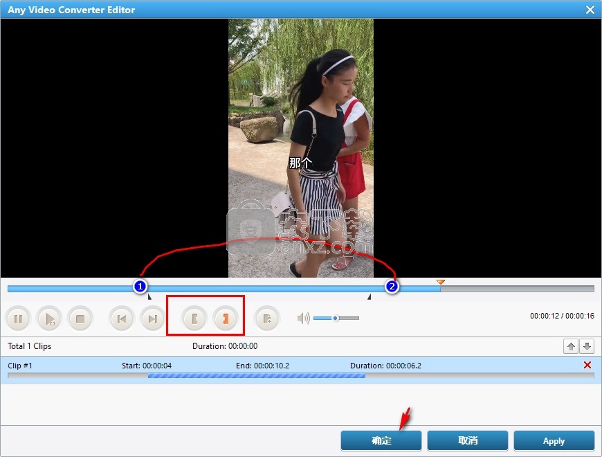 AnvSoft Any Video Converter(视频转换器)