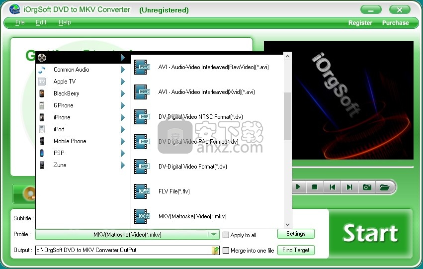 iOrgSoft DVD to MKV Converter(DVD转MKV转换器)