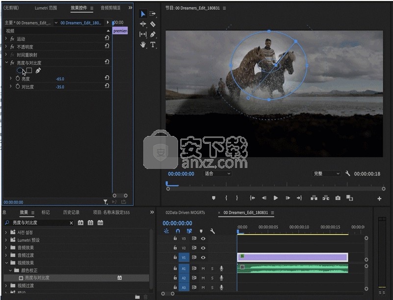 adobe premiere pro 2021中文