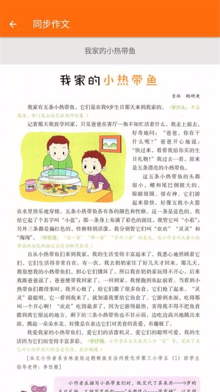 小学语文五年级(4)