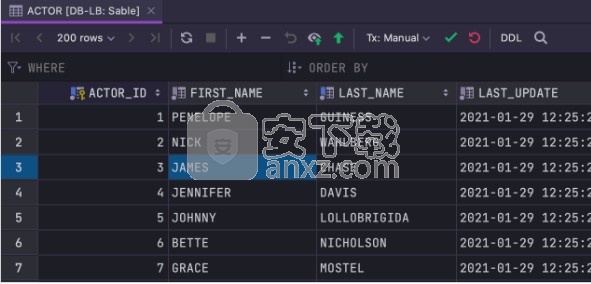 jetbrains datagrip 2021.1汉化