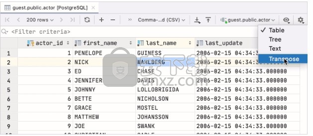 jetbrains datagrip 2021.1汉化文件