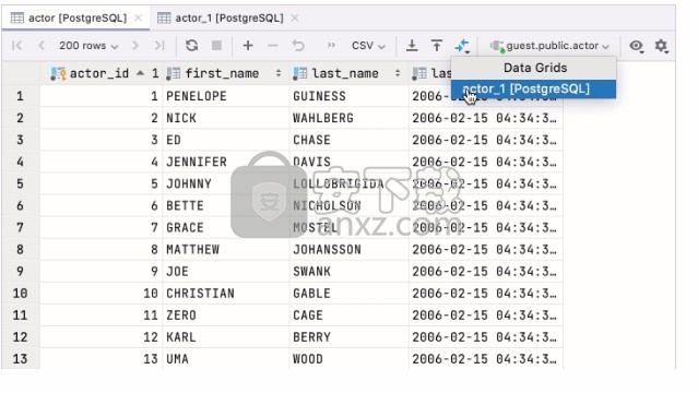 jetbrains datagrip 2021.1汉化