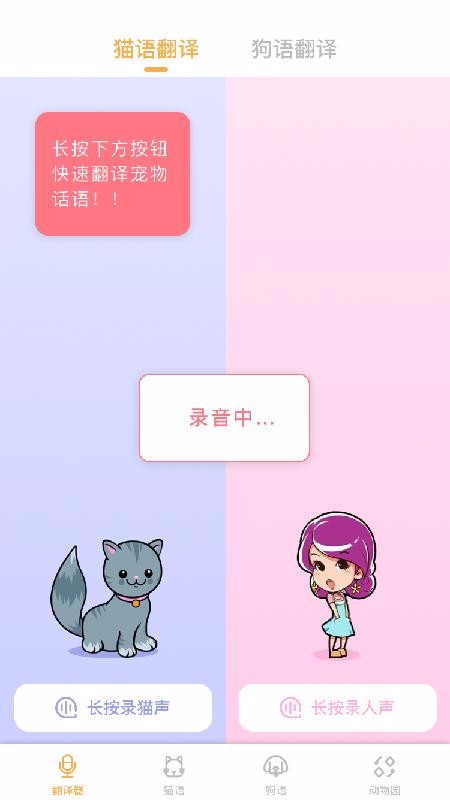 猫语翻译大师(4)