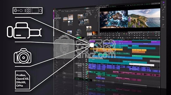 Avid Media Composer 2021(视频剪辑)