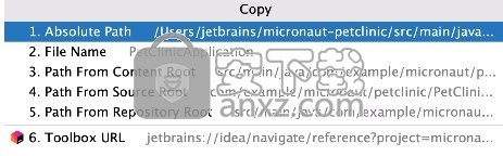 IntelliJ IDEA 2021(Java编程软件)