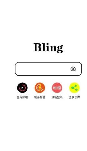 布灵湖南国内app开发团队