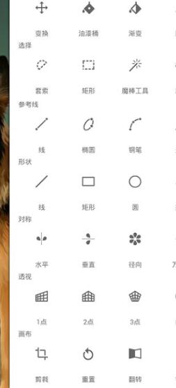 painter中文版青岛app软件开发用什么软件