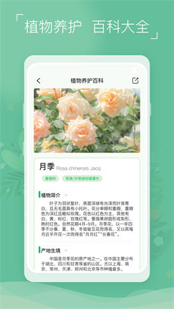 植物识别宝杭州app设计和开发