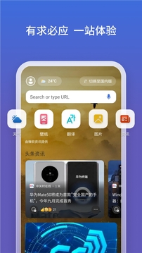bing浏览器云南app开发平台选择