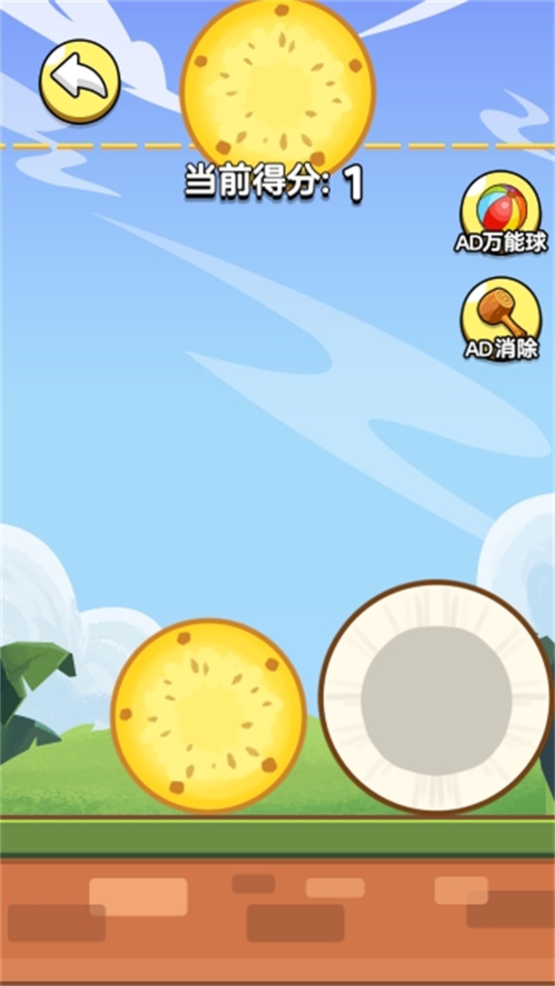 装了个大西瓜