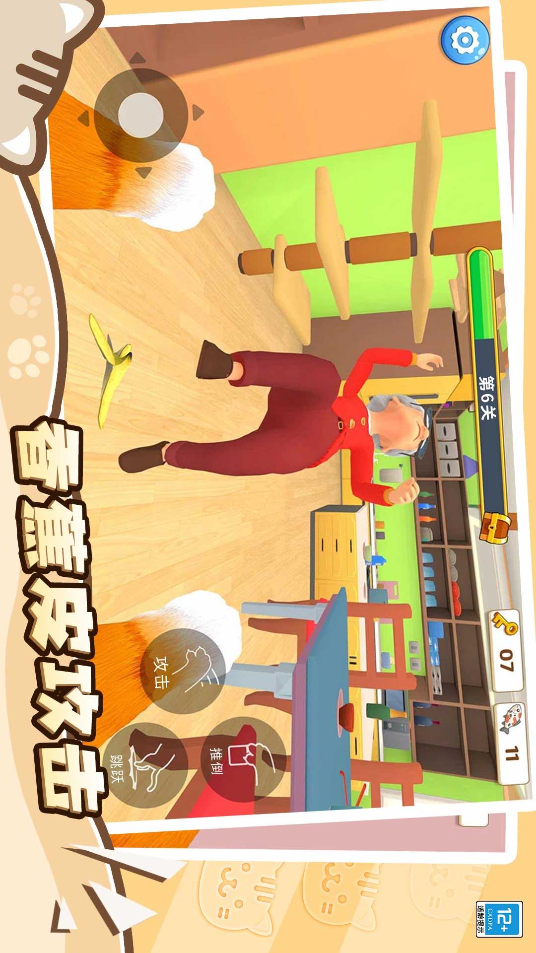 猫咪养成计划