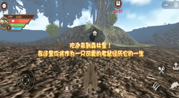 真实老鼠模拟