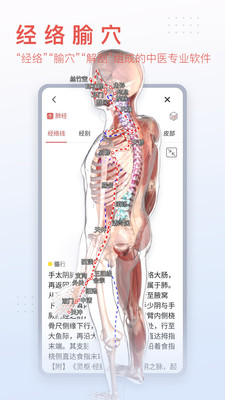 3d宠物解剖