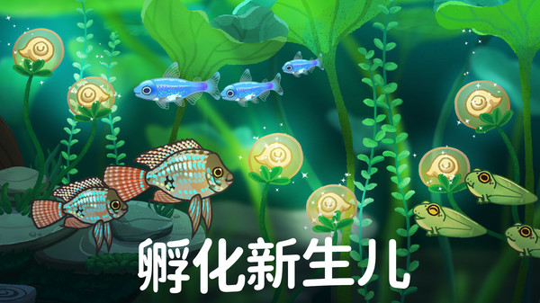 养鱼达人3D