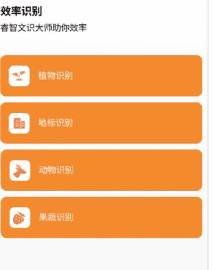 睿智文识大师