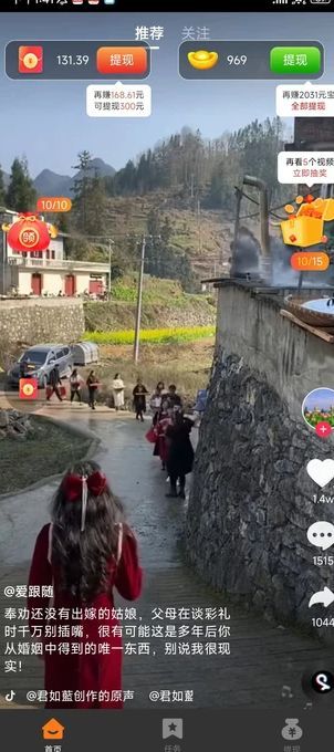 雏鱼