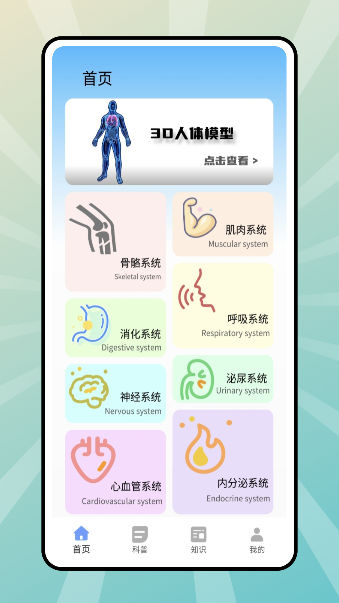 人体模拟器