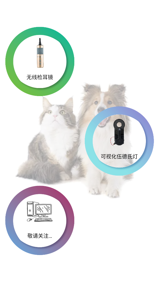 睫美科技