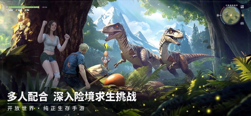 荒原曙光
