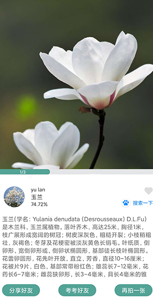 金澄花园
