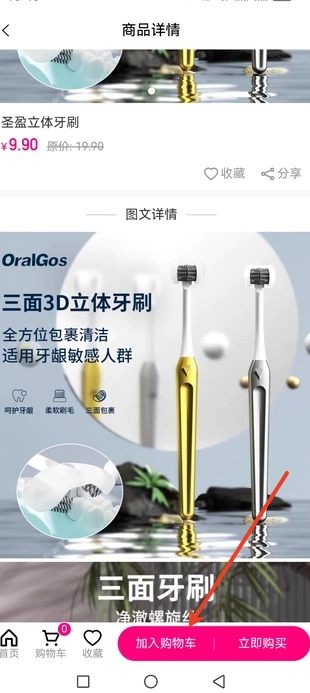 圣盈之家