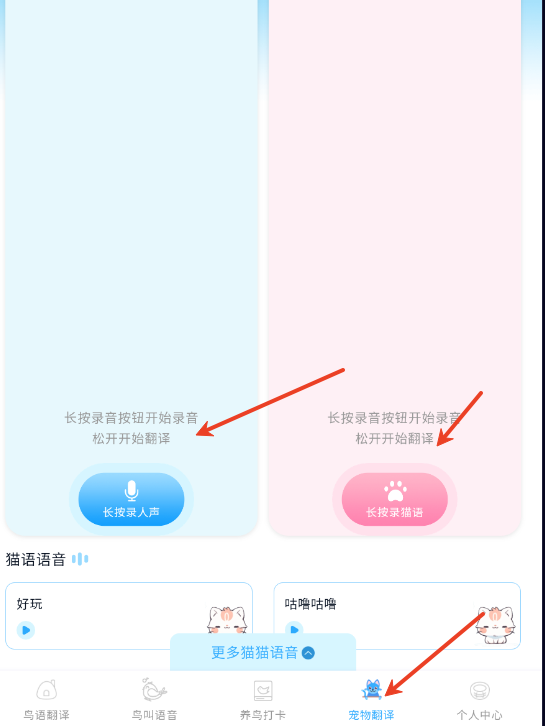 鸟语翻译王