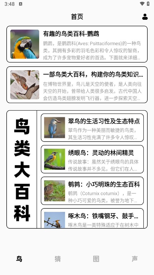 孤独的鸟类大全