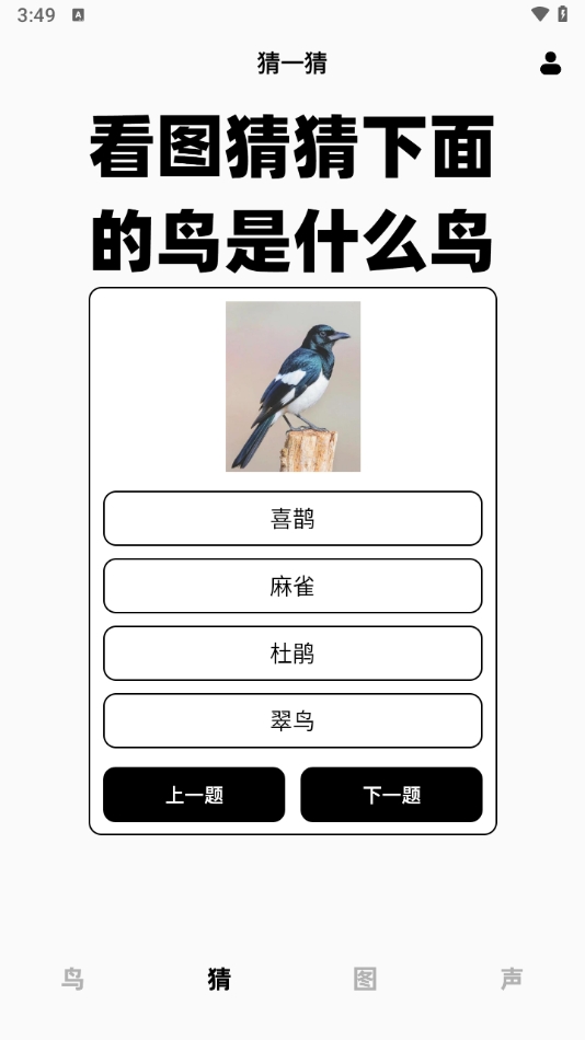 孤独的鸟类大全
