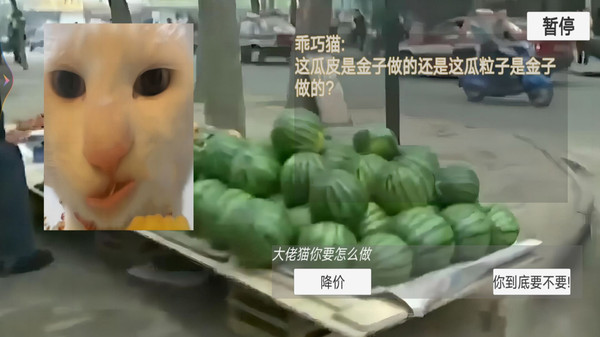 猫meme搞怪冒险