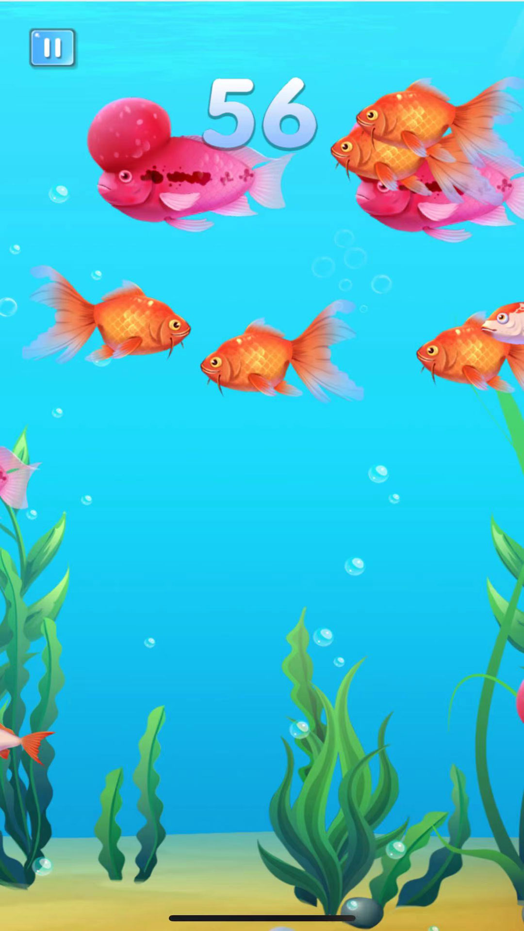 美味海底召唤