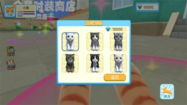 猫奶奶的自由世界