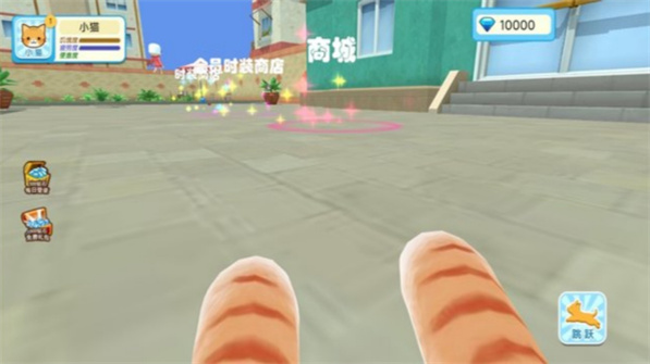 猫奶奶的自由世界