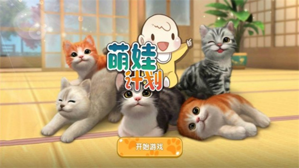 猫奶奶的自由世界