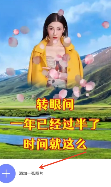 豆宝