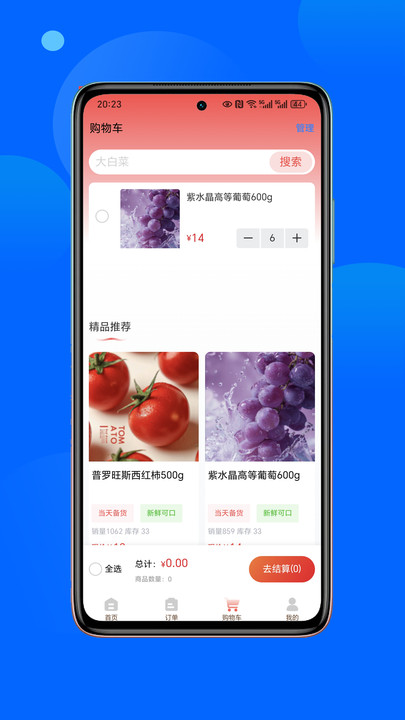 菜大盛