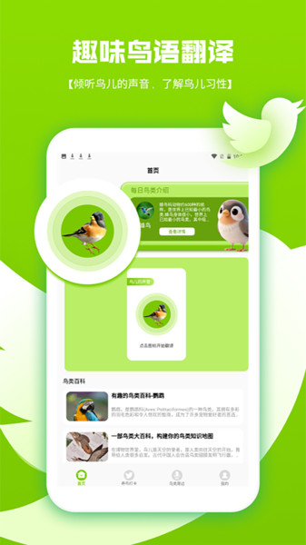 鸟语翻译器pro