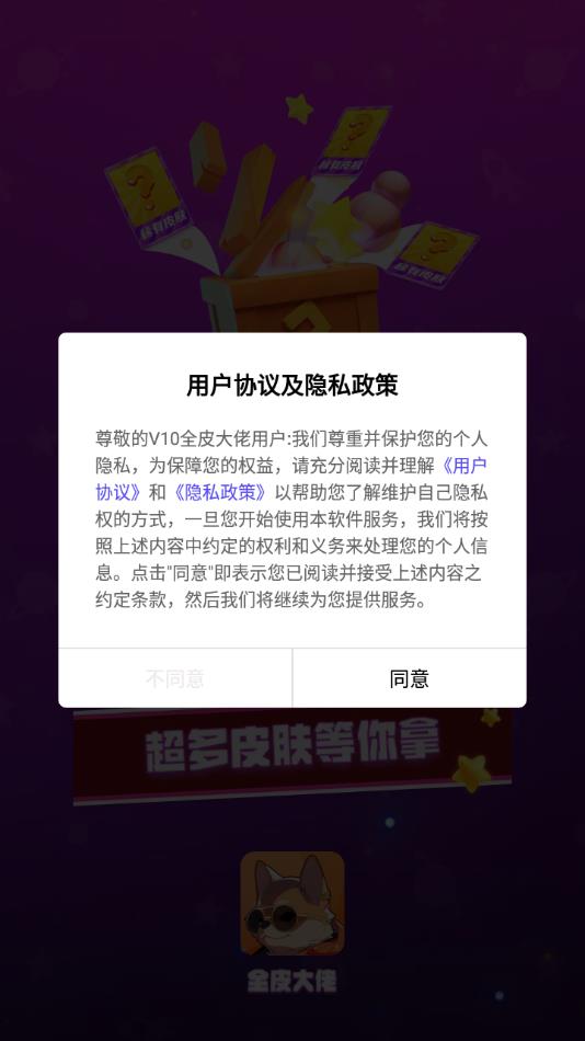 V10全皮大佬