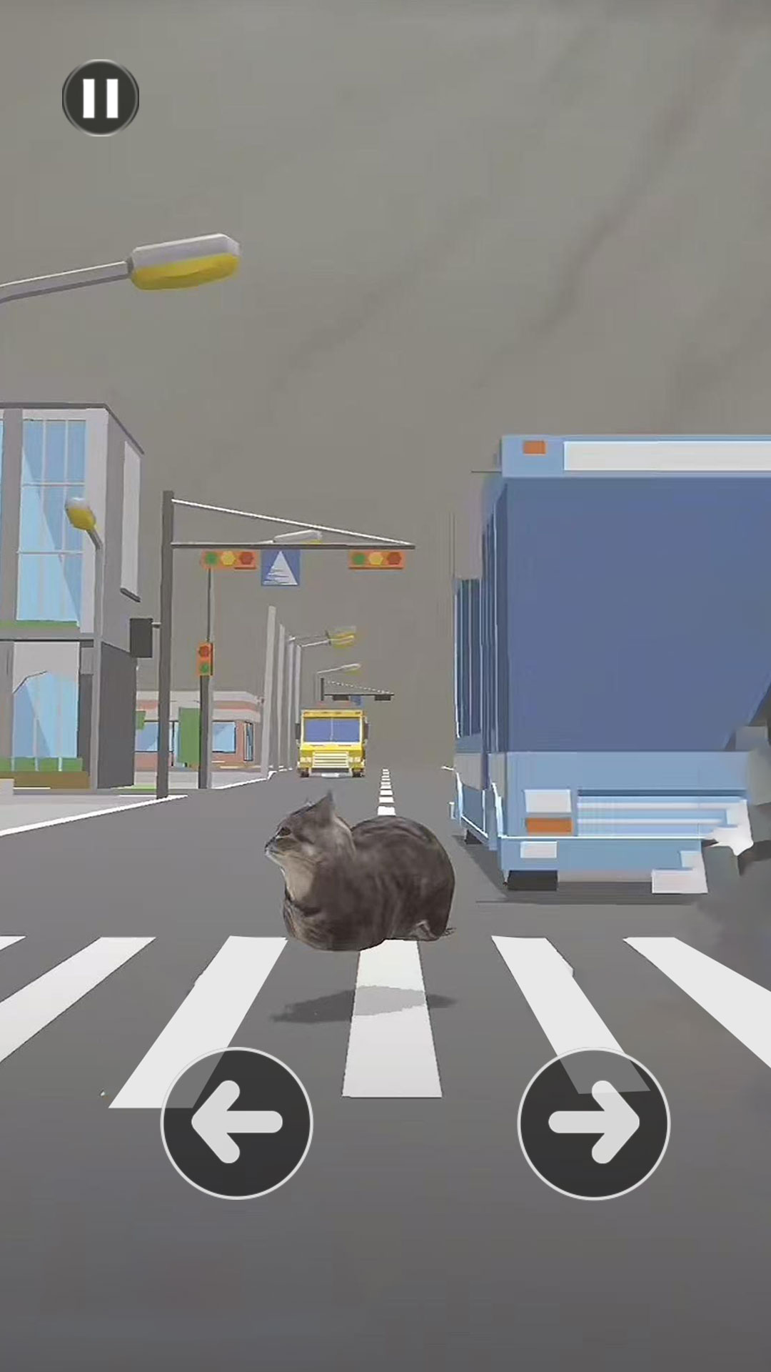 小猫过马路