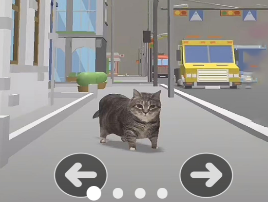 小猫过马路