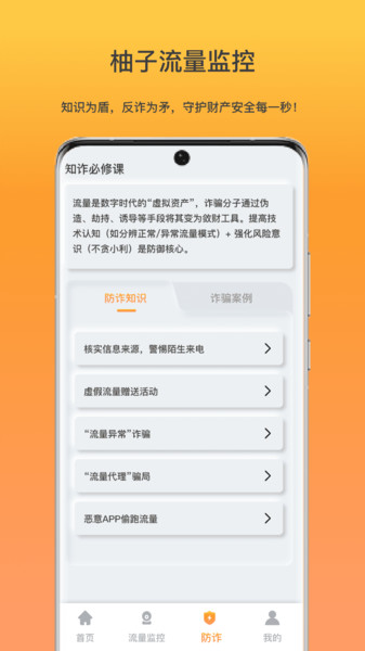 柚子流量监控
